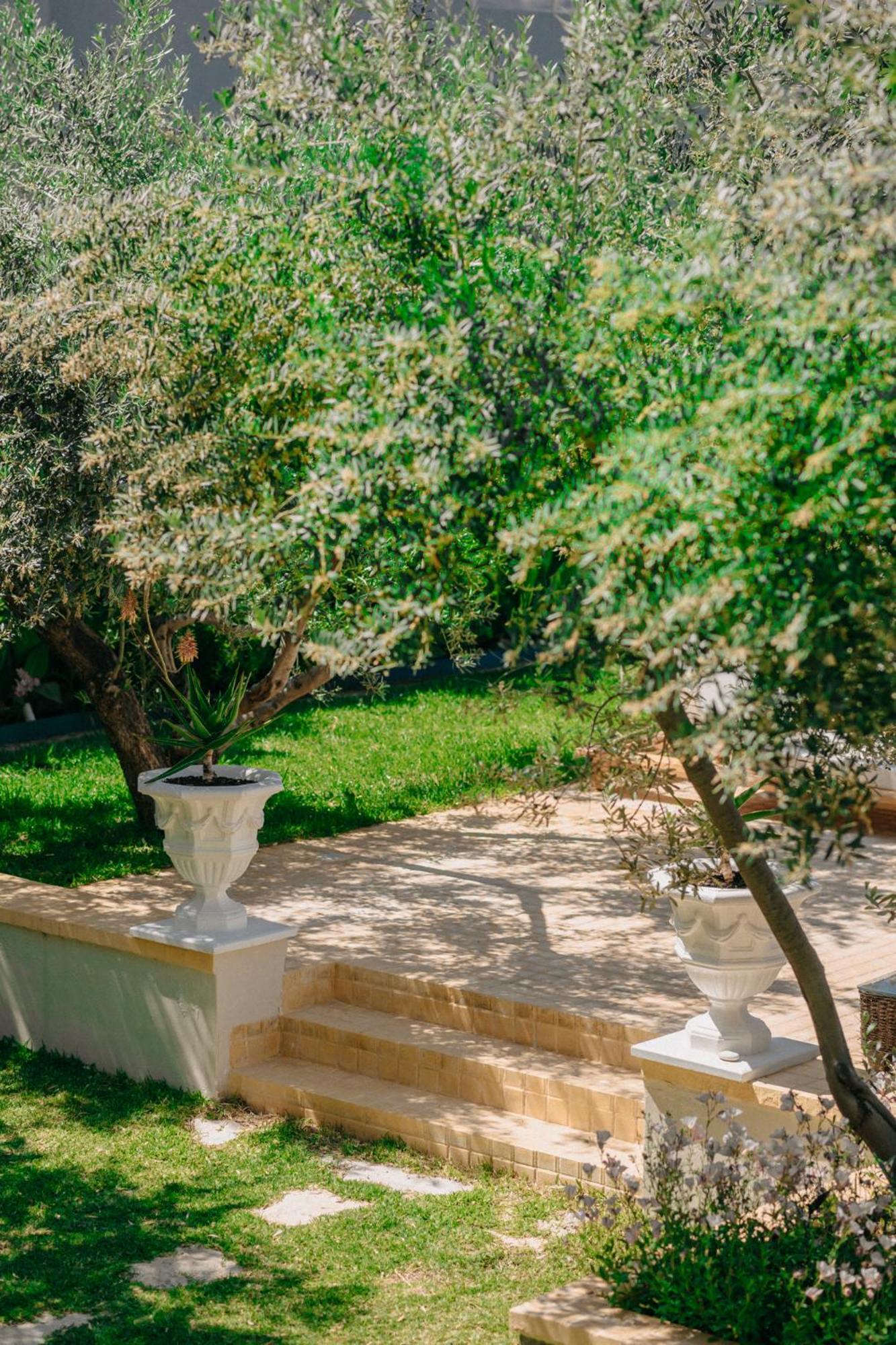Nereides Luxury Villas 카토 알미리 외부 사진